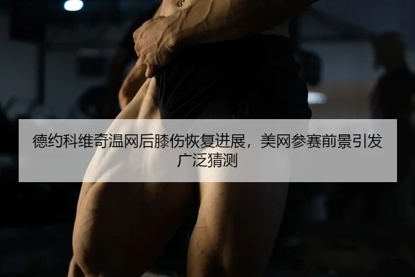 de-yue-ke-wei-qi-wen-wang-hou-xi-shang-hui-fu-jin-zhan-mei-wang-can-sai-qian-jing-yin-fa-guang-fan-cai-ce-2-966.jpg